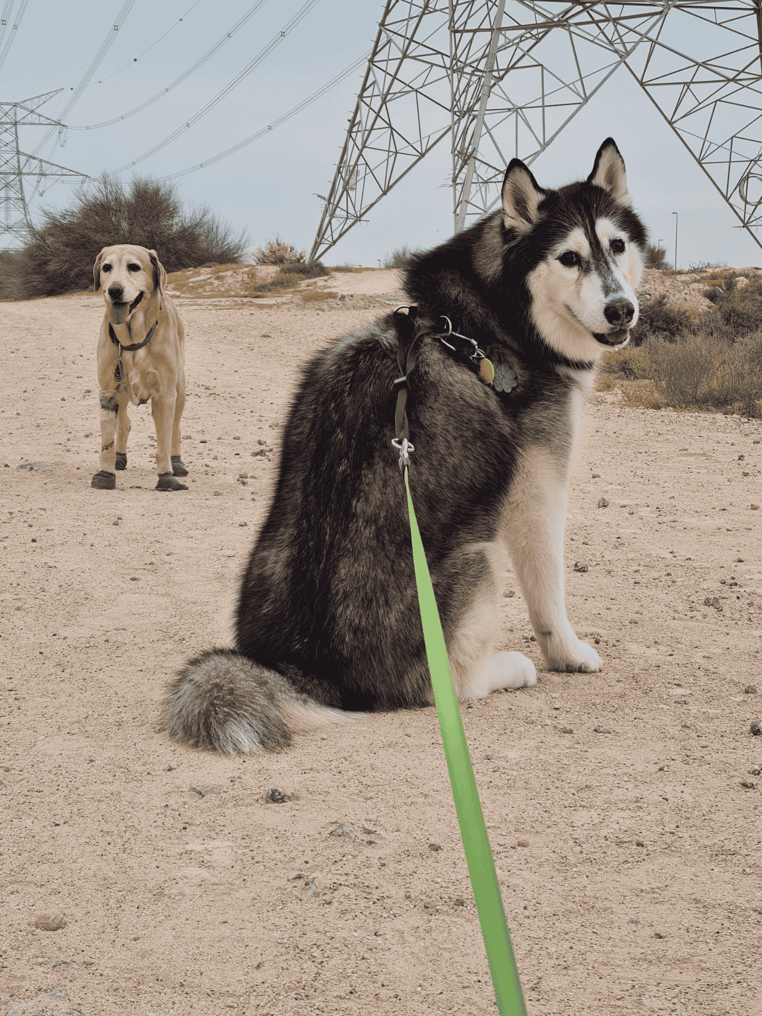 Astro and Family