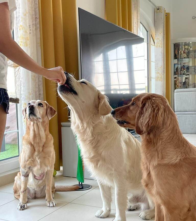 Lord and Family