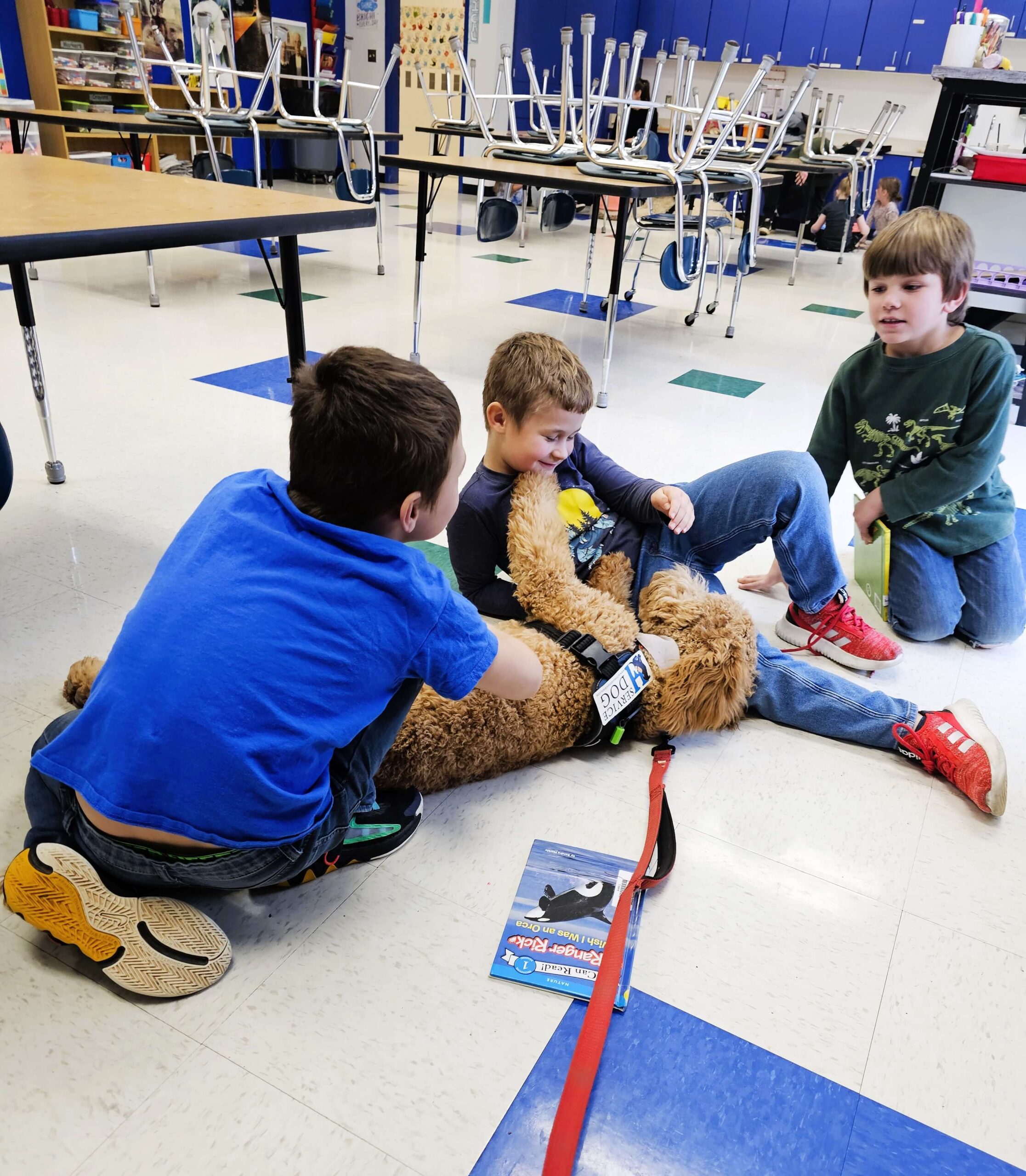 service dog - homepage (1)