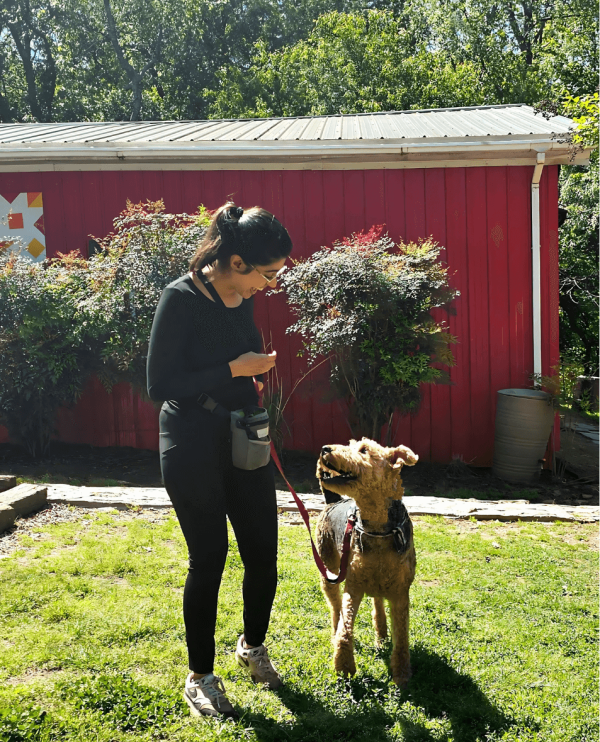 Basic Obedience Training